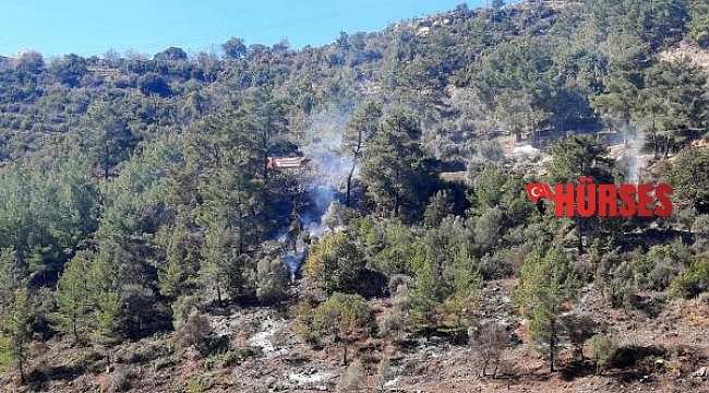Tarla temizliğinden orman yangını çıktı