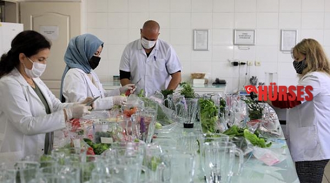 Turizm kenti Antalya'da tüketilen gıdalar laboratuvarda inceleniyor
