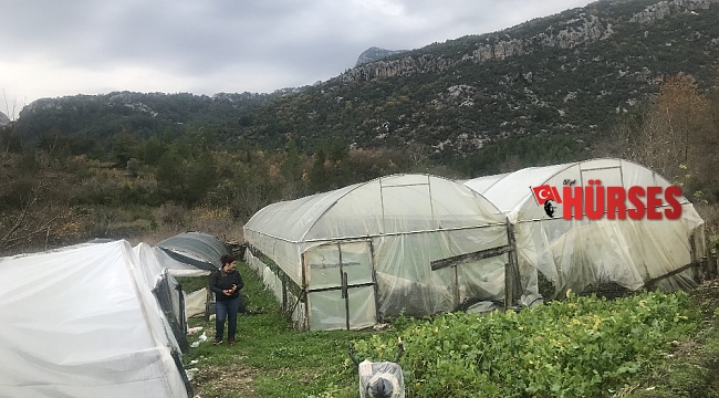 650 rakımlı mahallede örtü altı üretim geçim kaynağı oldu