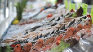 Büyükşehir Sosyal Tesisleri yeniden açıldı