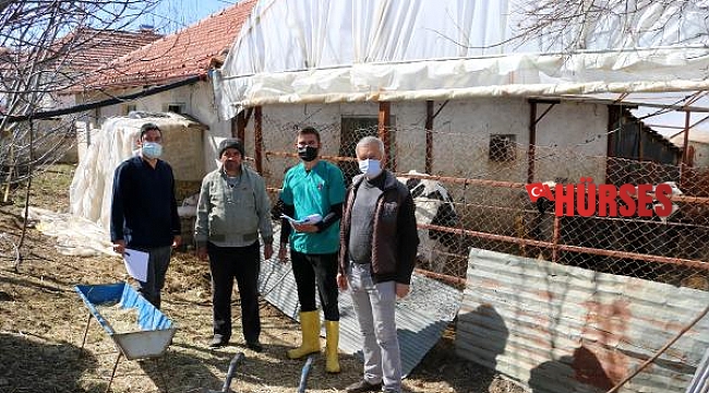 Büyükşehir'in besicilere desteği sürüyor