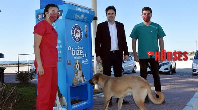 Can dostlara mama otomatı