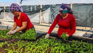 Dünya kadınlarının çiçekleri, Antalyalı kadınlardan