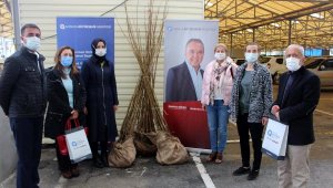 Gazipaşalı kadın girişimcilere dut fidanı desteği