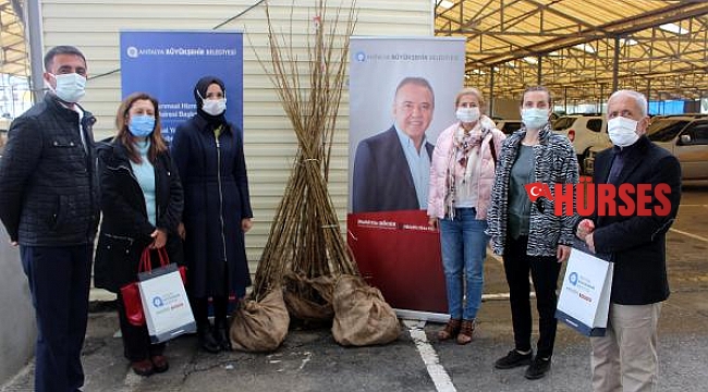 Gazipaşalı kadın girişimcilere dut fidanı desteği