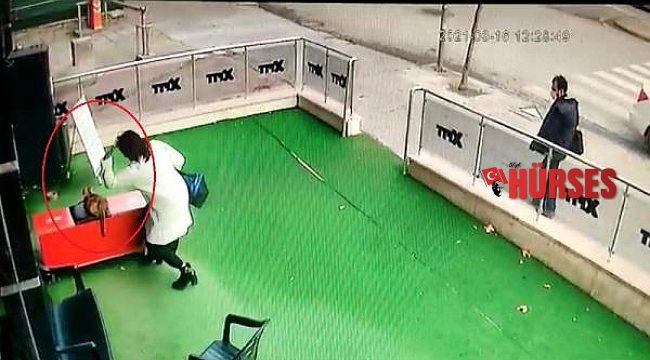 Gebe kediye şiddet uygulayan kadına para cezası