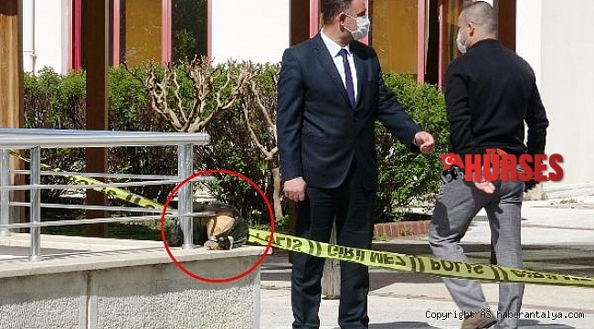 Hastane bahçesinde kafatası bulundu !