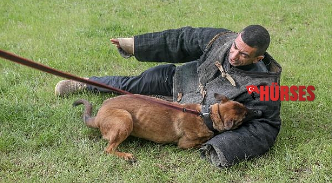 'Havlayan köpek ısırmaz demeyin, ısırır'