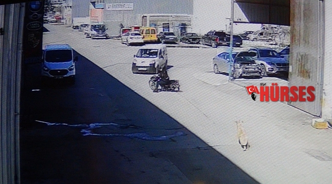 Köpekten korkan motosikletli otomobile çarptı: 1 yaralı