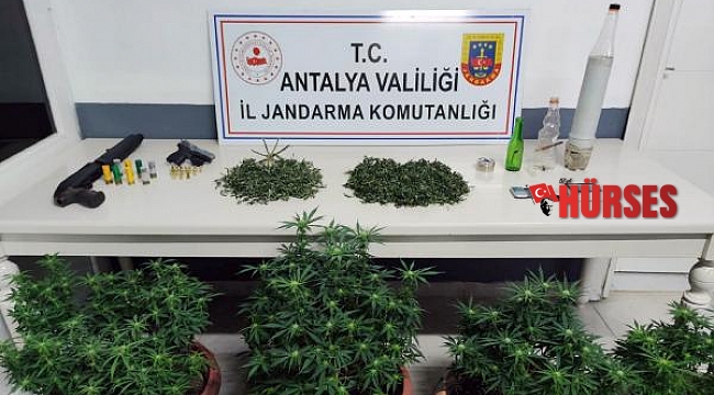 Manavgat'ta uyuşturucu operasyonları