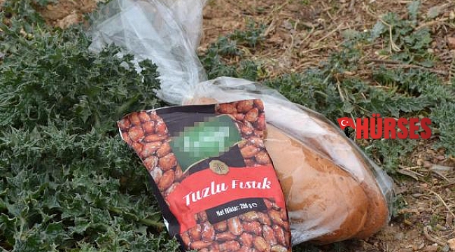 Market hırsızını çalışan yakaladı