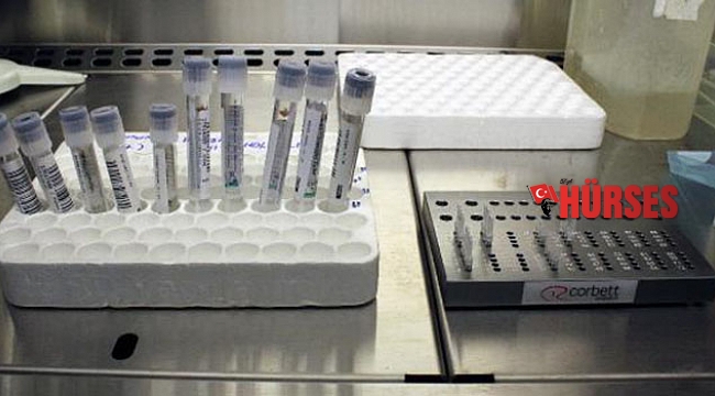 Mutasyonlar koronavirüs vaka sayısını artırdı