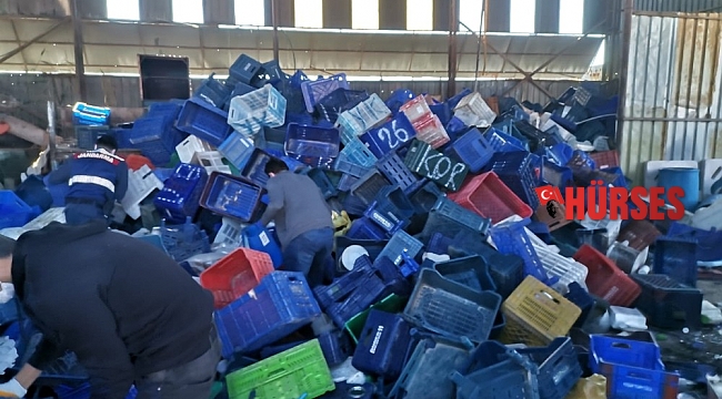 Plastik kasa hırsızları suçüstü yakalandı