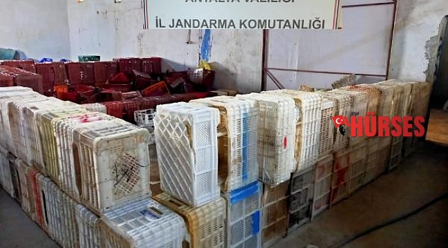Plastik kasa hırsızlığında 3 gözaltı
