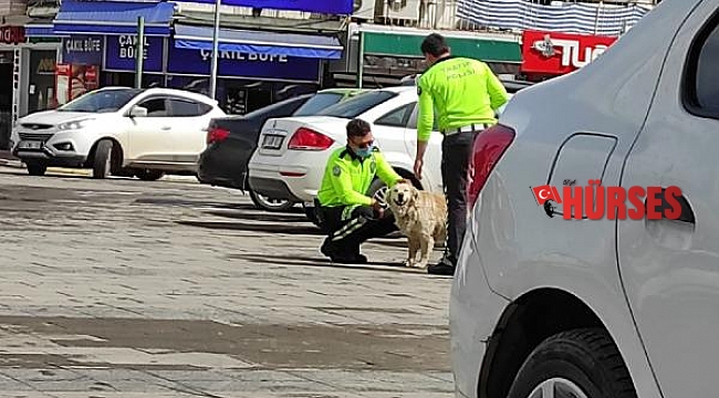 Polisten sokak köpeğine şefkat