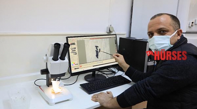 Prof. Dr. Çetin: Sivrisinek koronavirüs taşımıyor
