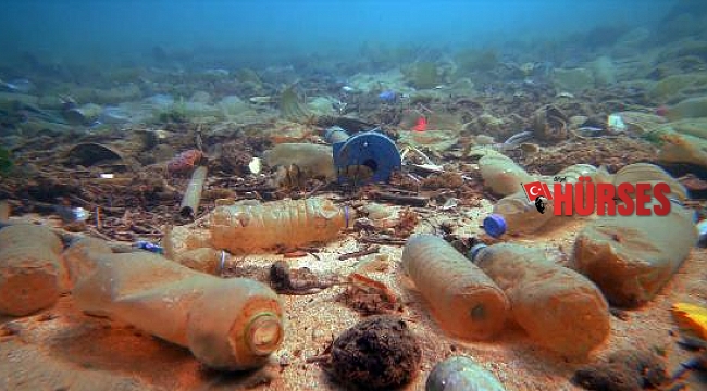 Su altı belgesellerini İngiltere'de çekecek