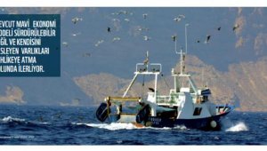 WWF: 2030'a kadar Akdeniz'in en az üçte biri korunmalı