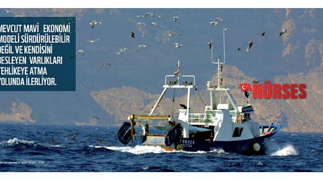 WWF: 2030'a kadar Akdeniz'in en az üçte biri korunmalı