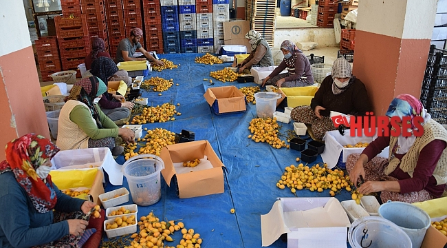 5 TL'den satılıyor, sipariş yetişmiyor