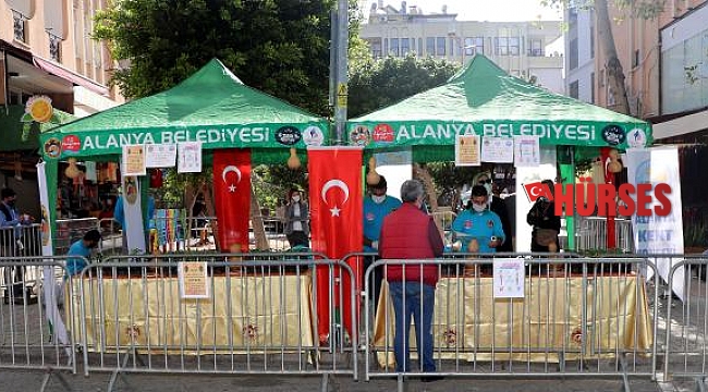 Alanya Belediyesi'nden su kabağı fidesi