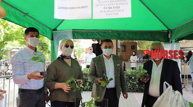 Alanya Belediyesi'nden su ve lif kabağı fidesi
