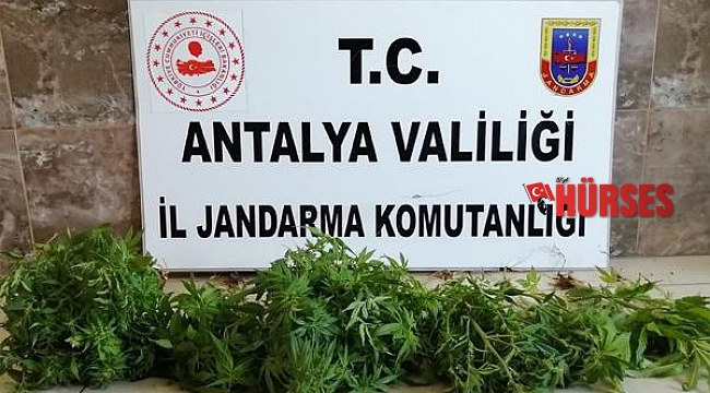 Alanya'da uyuşturucu operasyonu