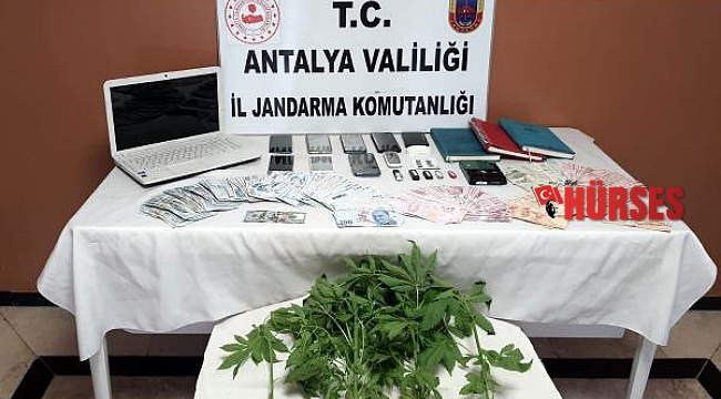Alanya'da yasadışı bahis operasyonu: 6 gözaltı
