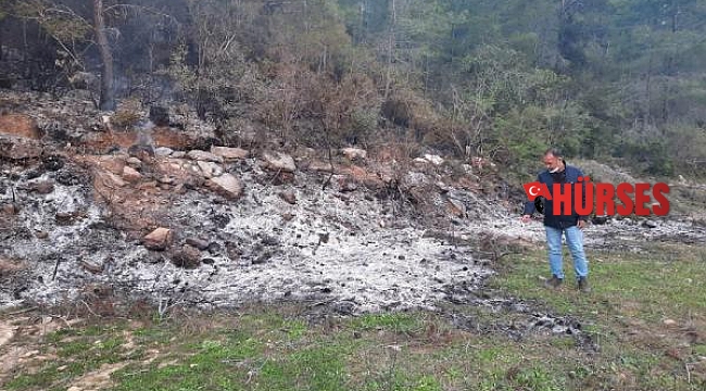 Antalya'daki orman yangını sonrası ağaç kesenler araştırılıyor