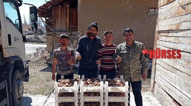 Biyolojik mücadele için Korkuteli'de patates yetiştirilecek