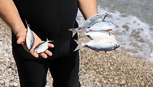 Bunları vatandaşa satıyorlar