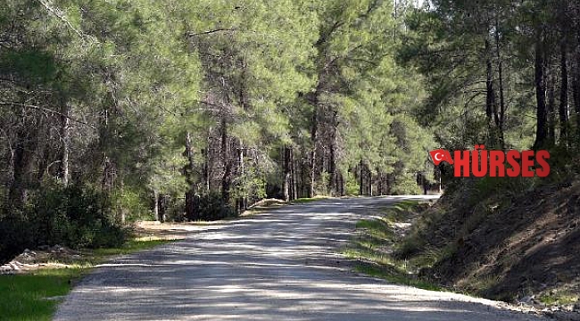 Büyükşehir'den, 38 kilometrelik yürüyüş ve bisiklet yolu