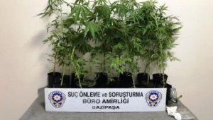Gazipaşa'da uyuşturucu operasyonu