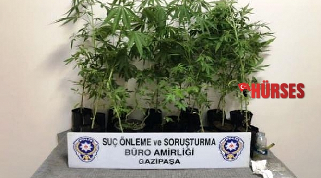 Gazipaşa'da uyuşturucu operasyonu