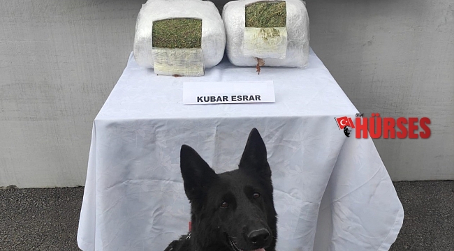 Jandarma yolcu valizinde 11 kilo esrar ele geçirdi