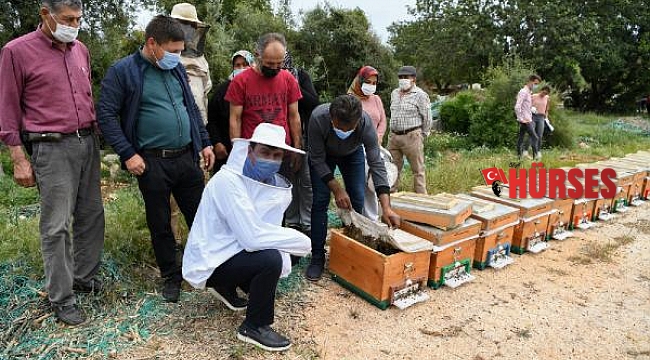 Kadınlara arı kovanı dağıtıldı