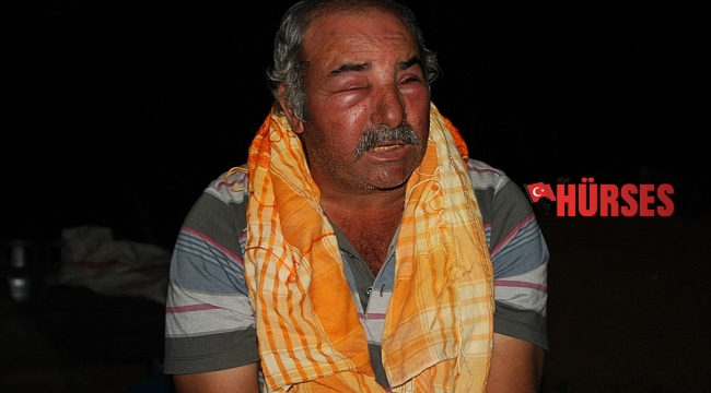 Keçilerini otlatan çoban arıların saldırısına uğradı
