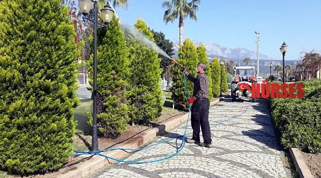 Kemer Belediyesi daha yeşil Kemer için çalışıyor