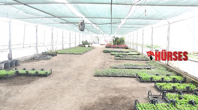 Kemer Belediyesi'nden yerli tohum atağı