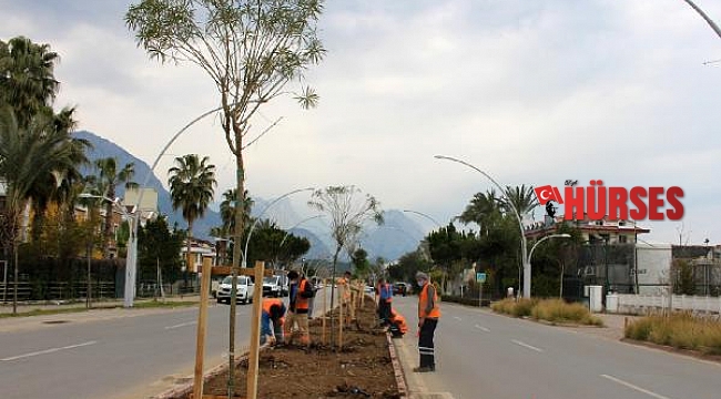 Kemer'de sezon öncesi yoğun mesai