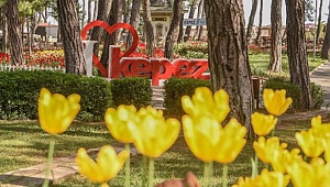 Kepez'de lale baharı