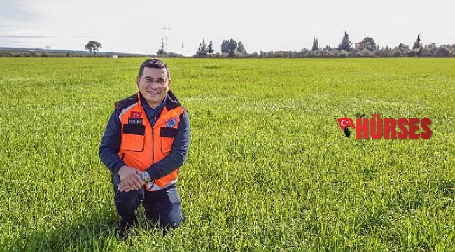Kepez'in buğday tarlalarında başak bereketi