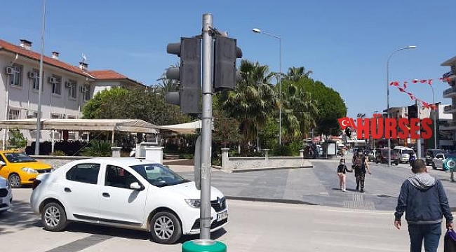 Kumru, kırmızı ışığa yuva yaptı
