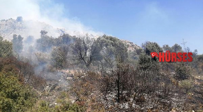 Makilik alanda yangın