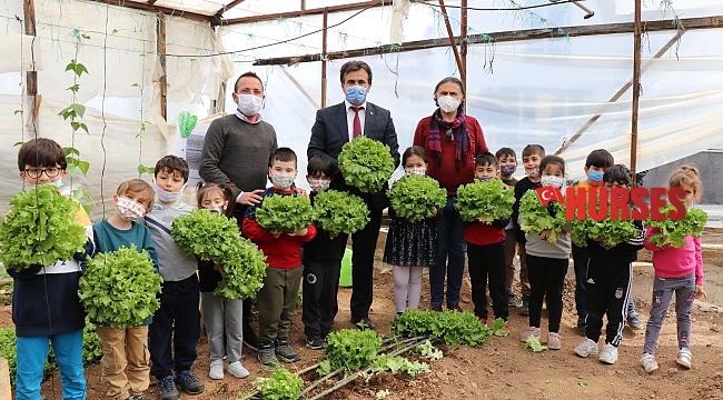 Minikler serada organik sebze yetiştiriyor