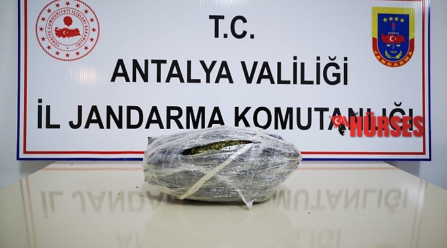 Otobüsle uyuşturucu ticareti jandarmaya takıldı