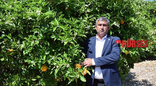 'Portakalı sigortalayın' uyarısı