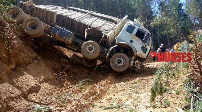 Tomruk yüklü kamyon devrildi: 1 yaralı