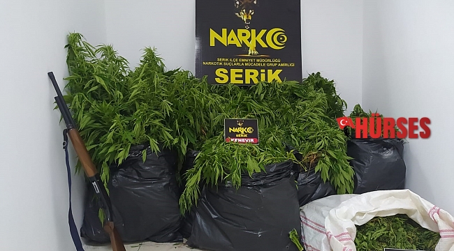 Uyuşturucu operasyonunda 5 tutuklama