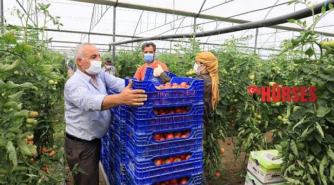 40 derece sıcak yıldıramadı